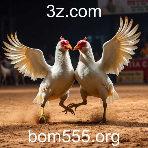 Explorando o Fascinante Mundo dos Jogos de Sabong com Bom555